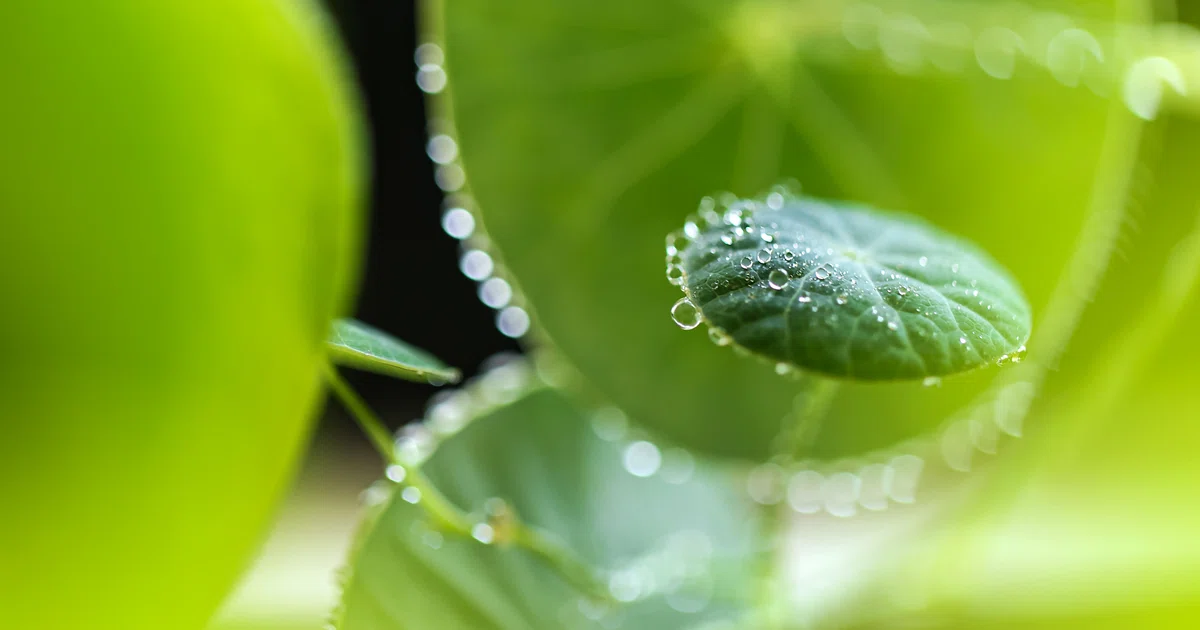 Turning sustainability into a competitive business advantage - The ...