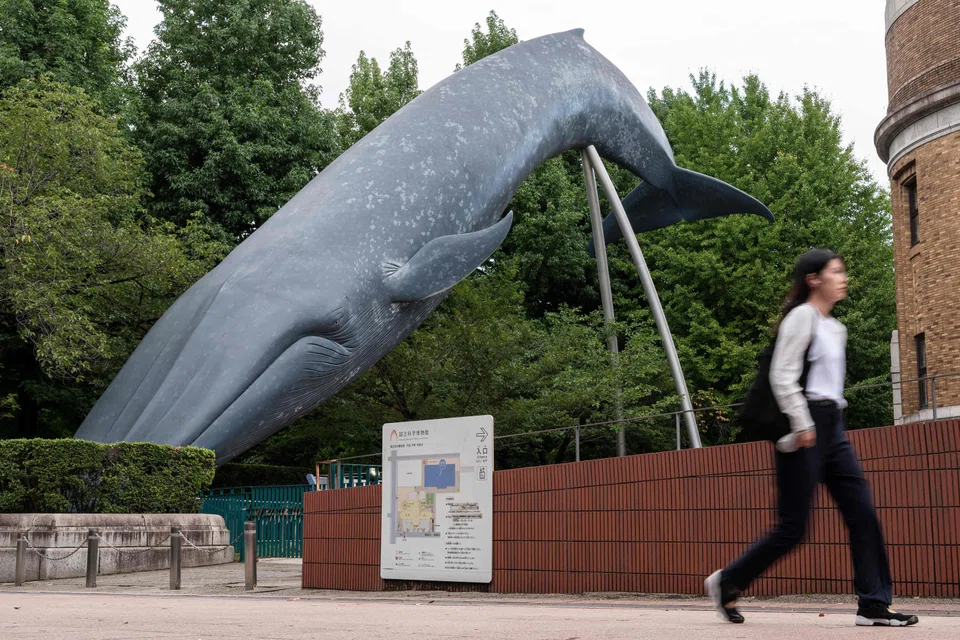 A full-sized model of a blue whale outside the National Museum of Nature and Science in Tokyo. Japan's second-oldest museum raised US$3.4 million through crowdfunding after it was denied additional financial support. 
