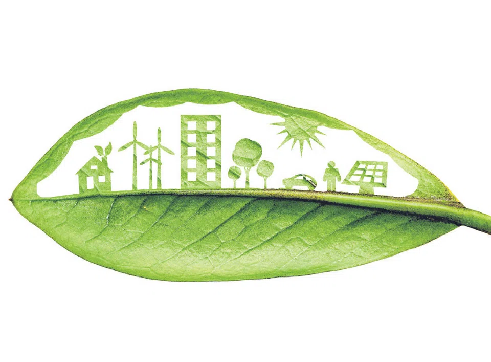 With Asia, including Singapore, still in the nascent stages of implementing sustainability practices at a corporate level, the local talent pool to fill emerging positions in the ESG field continues to lag. 