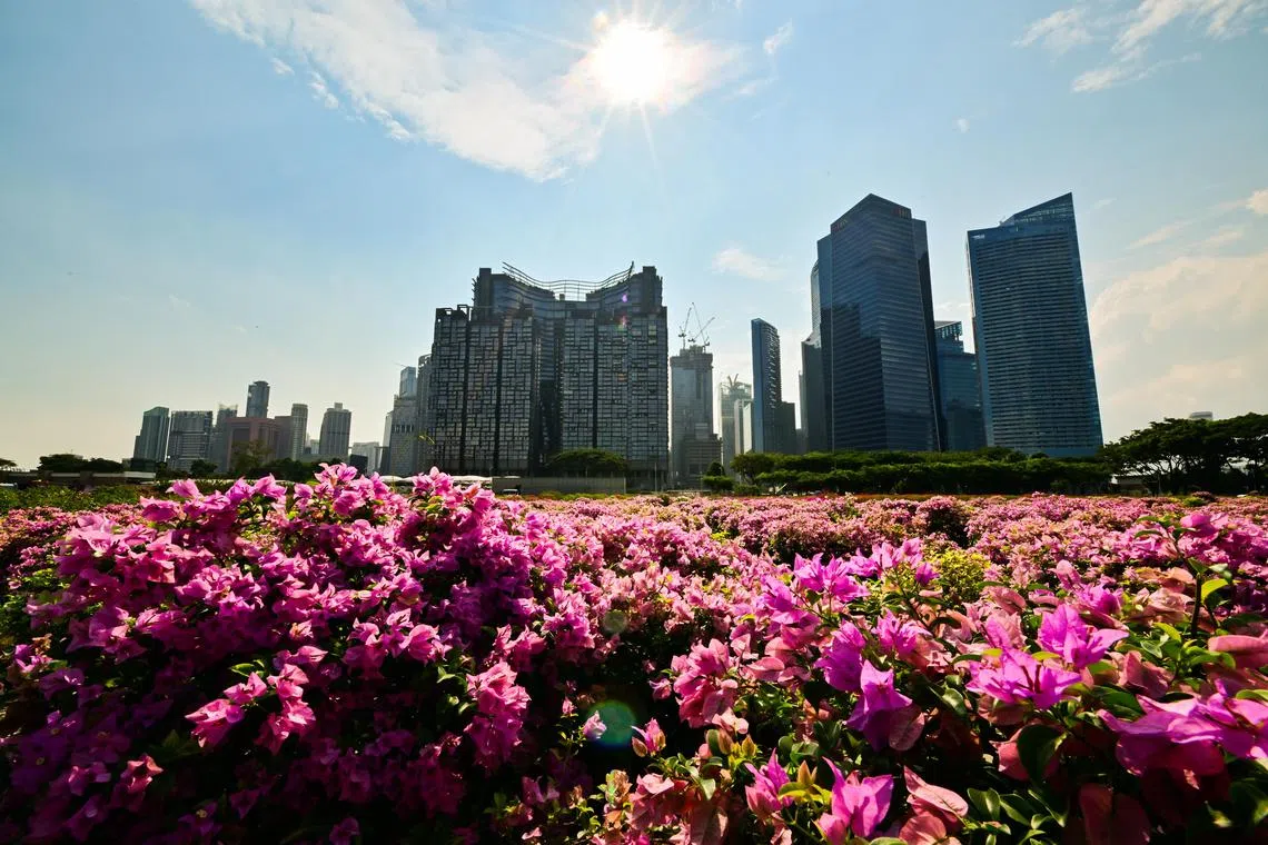 The new sustainability standards provide a structured framework for companies to assess and disclose their resilience to sustainability-related risks, allowing investors to understand the company’s long-term prospects better.