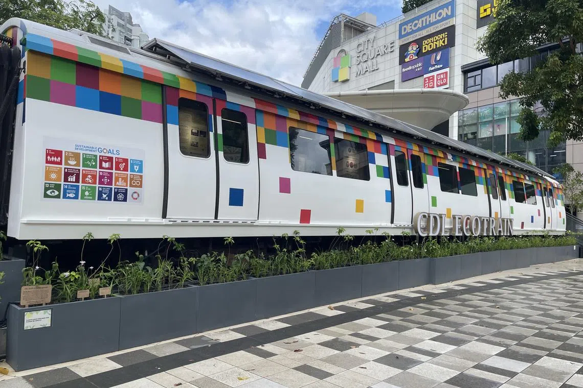 At the EcoTrain, children and young people can play a game to learn more about rainforests.