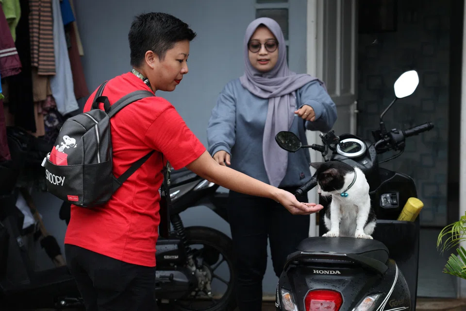 Francine Widjojo, 44, a parliamentary candidate from the Indonesian Solidarity Party, feeds a cat during her campaign in Jakarta, Indonesia.