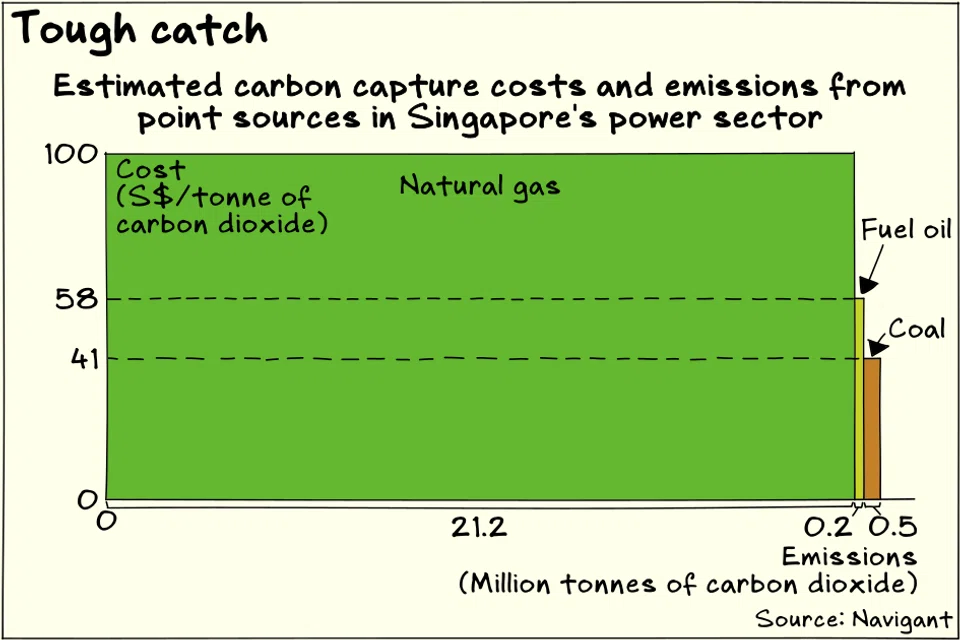 Carbon capture and storage costs for natural gas are the highest among fuel types that Singapore uses for electricity generation.