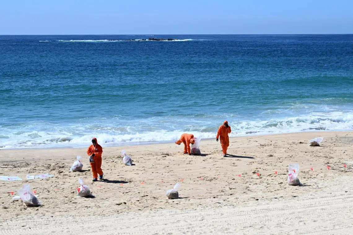 Around 2,000 of the mystery black balls, some golf ball-sized, had washed onto beaches across Sydney since Tuesday.