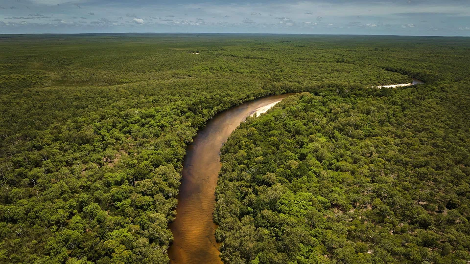 Since 2023, Louis Vuitton has partnered with People For Wildlife in Australia to support biodiversity restoration across a 400,000-hectare landscape.