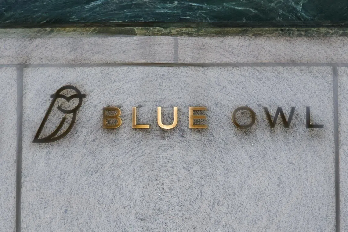 Blue Owl has spearheaded several multibillion-dollar financings for software providers, including RLDatix and Smartsheet.