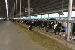 Japfa says raw material prices are expected to remain high, as weather conditions may affect crop production in some countries.