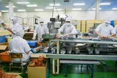 Big firms expect to increase capital expenditure by 3.3 per cent in fiscal 2026, compared with a median market forecast for a 3 per cent gain, the survey showed.