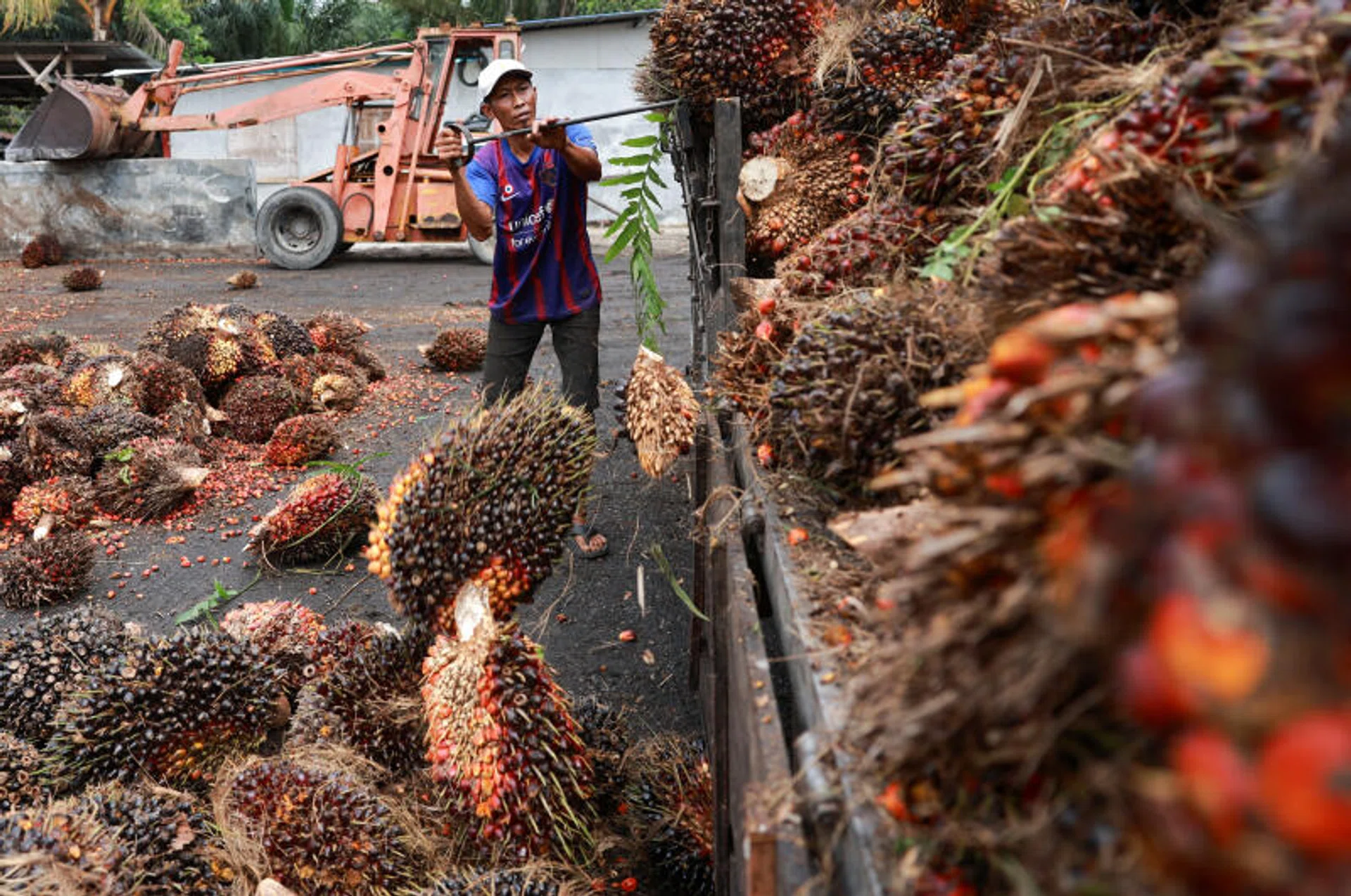Malaysia’s palm oil stocks to drop as output slows and exports rise