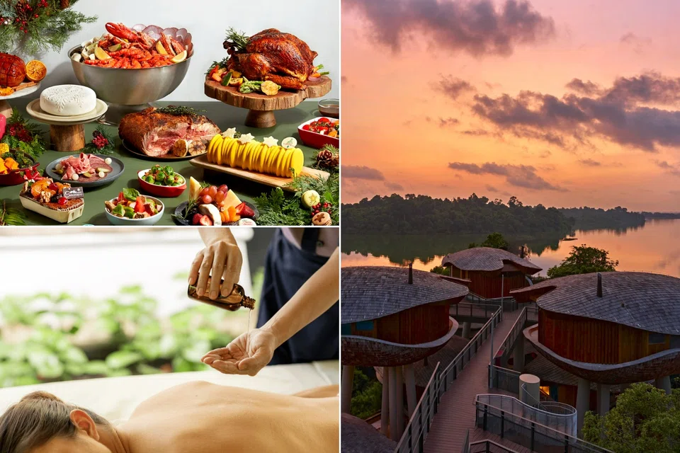 From festive feasts to relaxing spa rituals, Mandai Rainforest Resort offers the perfect peaceful year-end escape. 