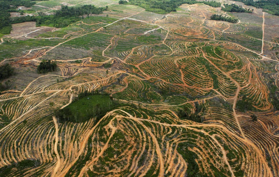 An aerial view of forest land being cleared in Indonesia's West Kalimantan. The new framework by TNFD paves the way for a new focus around creating a “nature-positive” economy.