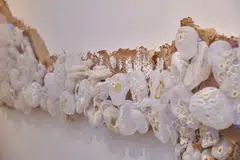 Artist Agatha Lee uses organza from discarded wedding dresses to craft a fragile coral reef-like art installation.