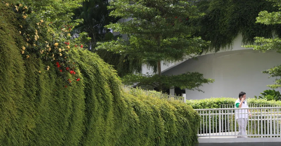 By coordinating across sectors and borders, the region can not only scale climate solutions but also define credible, investable markets that generate long-term economic value.