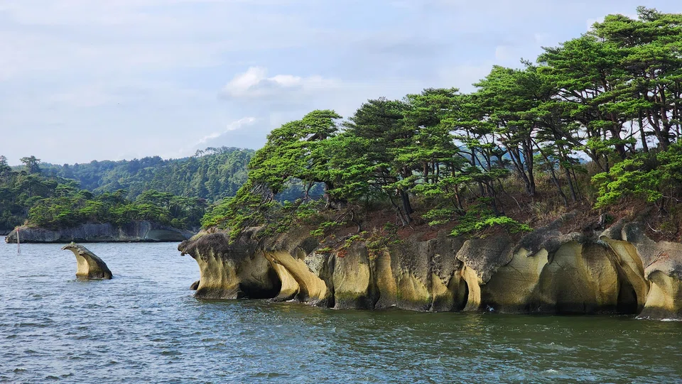 One of the 260 pine-clad islets dotting Matsushima Bay.