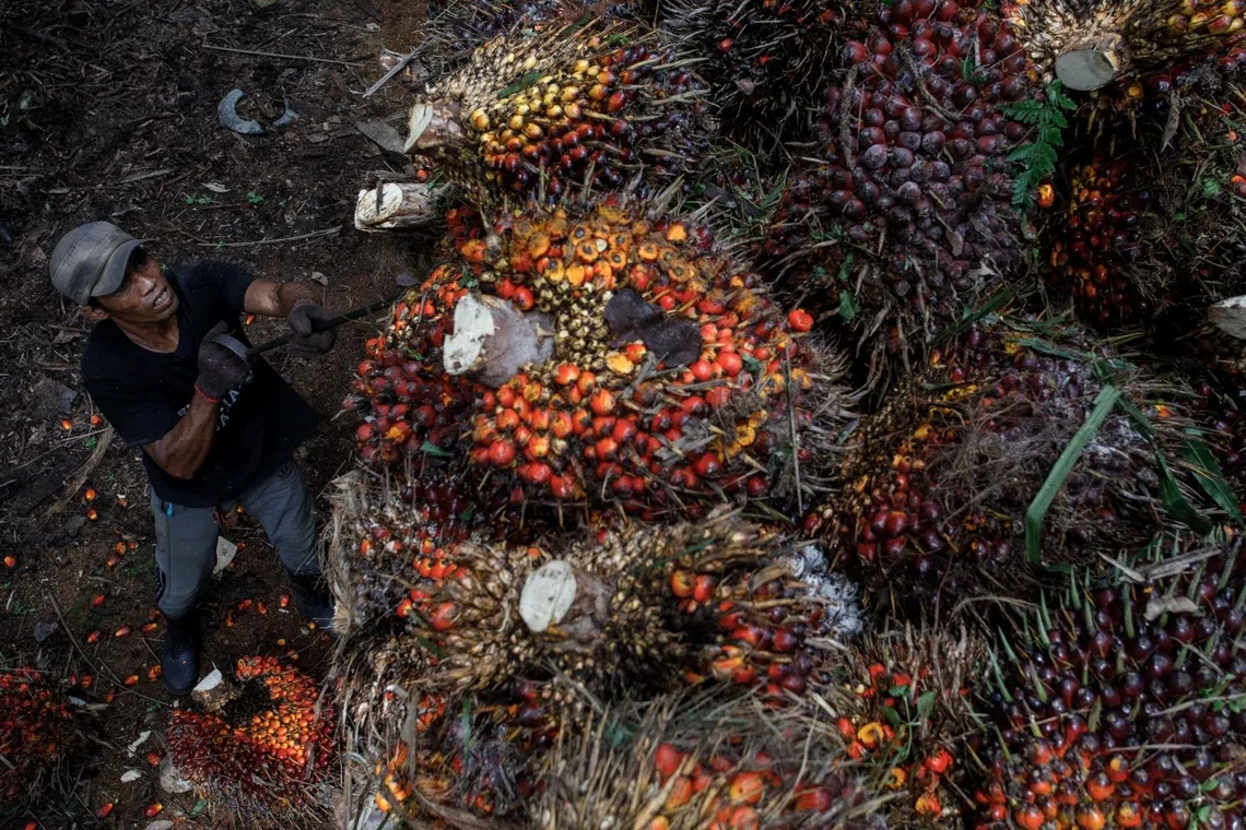 Palm oil reserves have been expanding since March and high stockpiles could pressure prices of the tropical oil. 