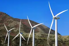 President Trump campaigned for the White House on a promise to end the offshore wind industry - saying “windmills” are too expensive and hurt whales and birds - while promoting oil and gas.