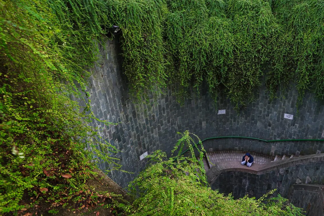 By integrating ESG principles into their operations, charities can garner greater stakeholder support, attract new funds and enhance operational efficiency.