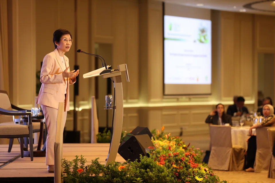 Minister for Sustainability and the Environment Grace Fu also called for Asean to boost its green value chain.