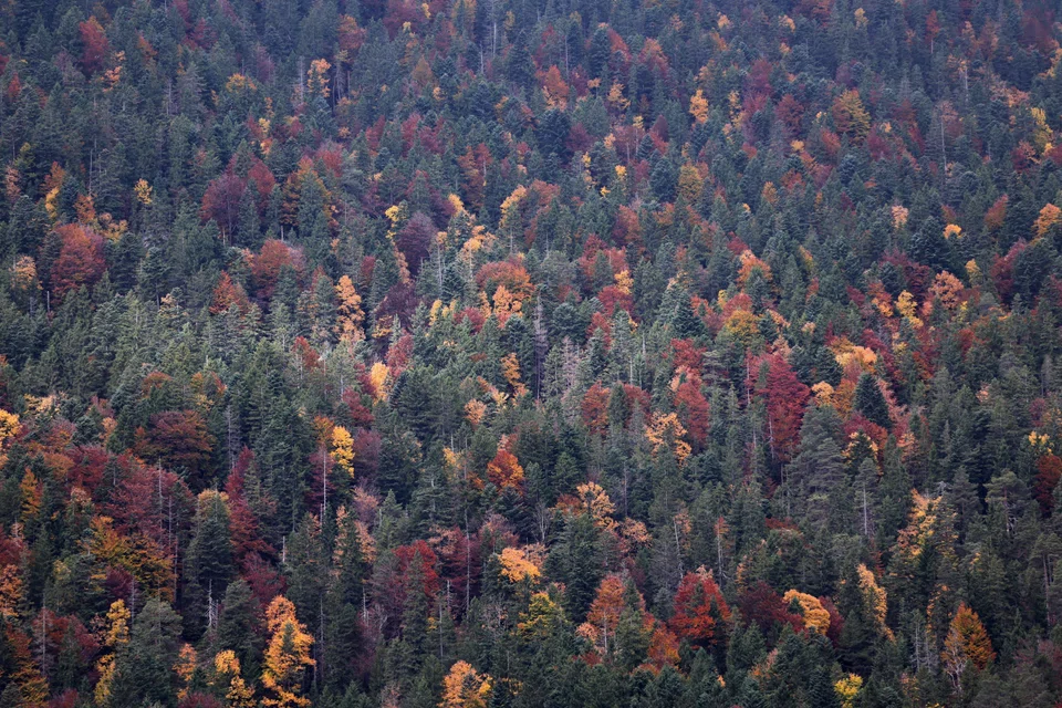 To ensure the world’s well-being, both climate actions and nature protection are important. However, nature is often overlooked. 
