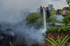 The reduced rainfall linked to El Nino means a higher risk of wildfires and hazardous haze.