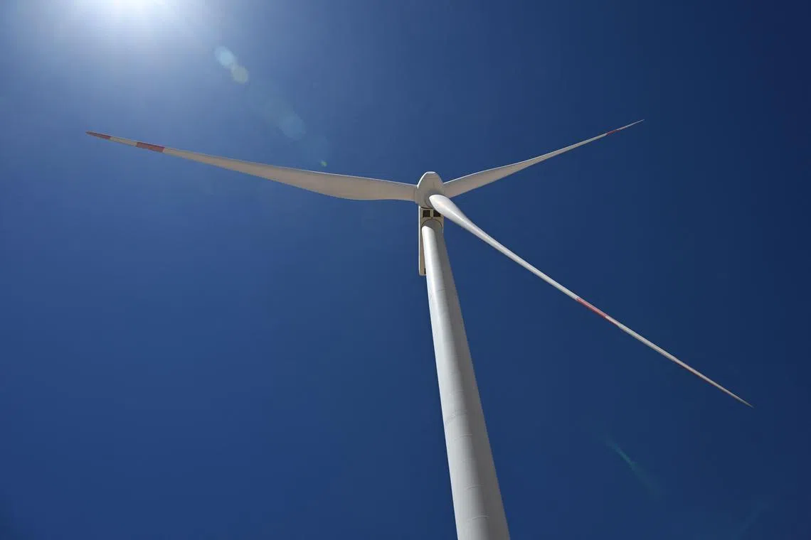 US President Donald Trump has aggressively and specifically targeted wind power in his larger crusade against clean energy, often characterising it as a bird-killing eyesore.