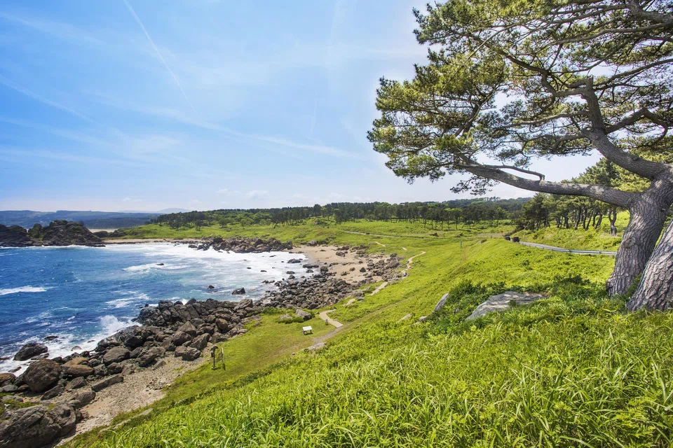 Tanesashi Coast spans 12 km of beaches and hiking trails.