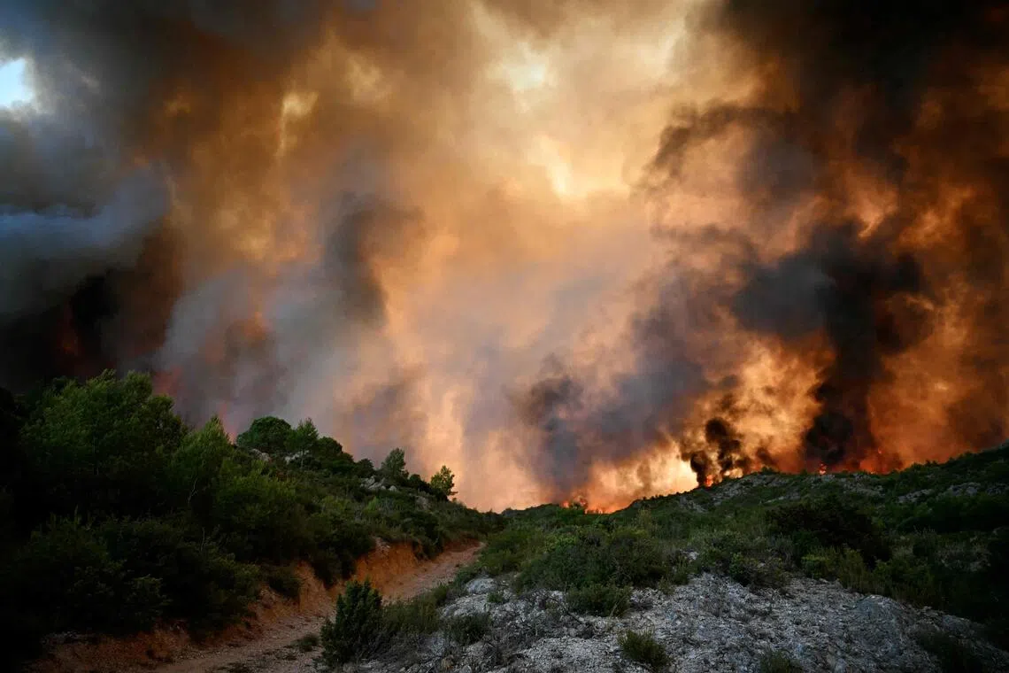 A forest is engulfed in flames as a wildfire rages near Fontjoncouse, southwestern France, Aug 6, 2025. The summer of 2025, marked by two heatwaves, was the third hottest on record in France since French weather forecast agency Meteo-France began measuring temperatures in 1900.