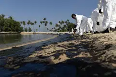 The oil spill is a result of an incident on Jun 14 involving the Netherlands-flagged dredging boat Vox Maxima and the Singapore-flagged bunker vessel Marine Honour, which was stationary, at Pasir Panjang Terminal.