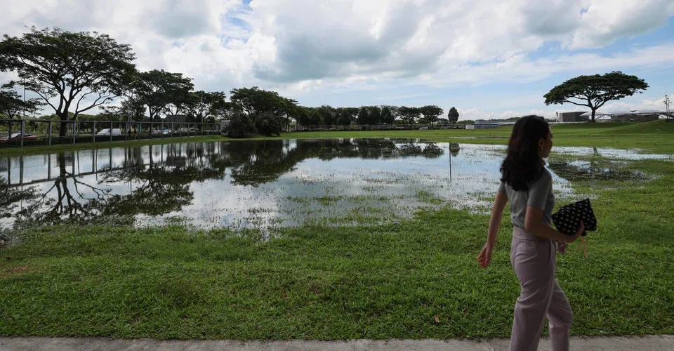 The environmental performance of Asia's governments and companies could help determine whether the world succeeds or fails in its shared climate goals, says a World Economic Forum report.