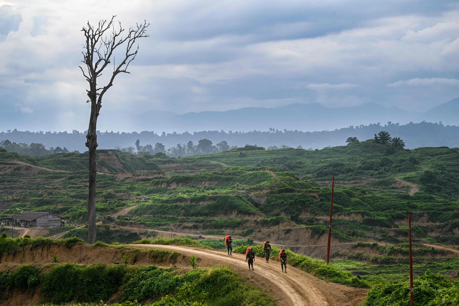 Asia’s path to climate leadership is clear – now the capital must align