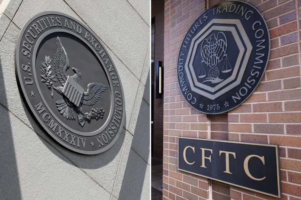 Many countries have a single regulator for financial markets, but in the US the SEC oversees stock and bond activities while the CFTC polices derivatives trading. 