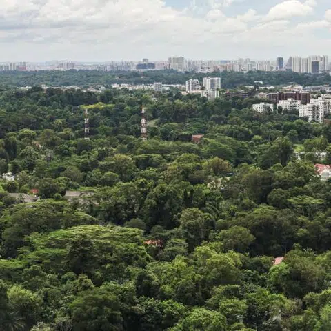 Johor regent applies to build homes on Holland Rd land