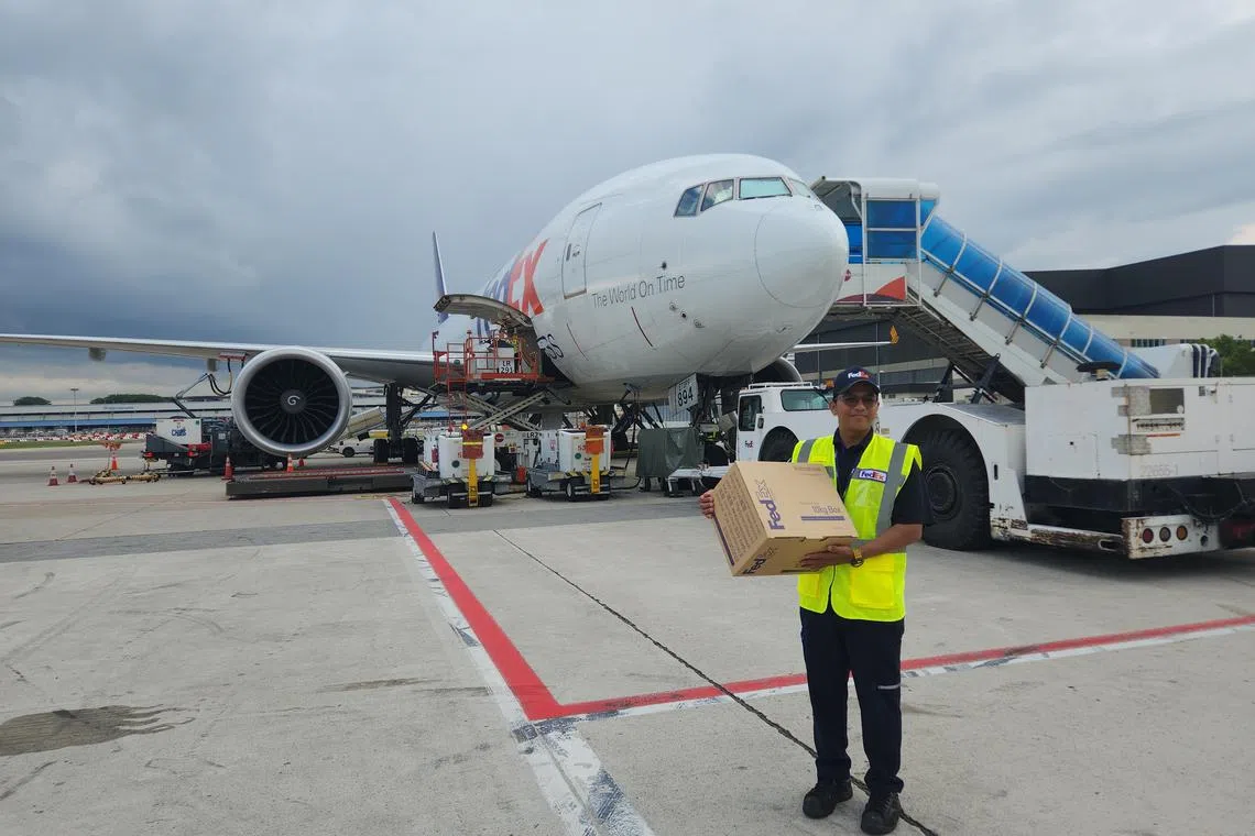 FedEx's new direct cargo flight to the US will reduce cargo transit times by up to a day.