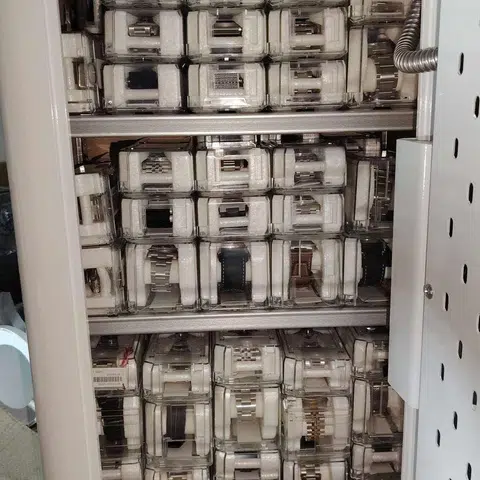 Over S$1m in luxury watches seized in Iras raids