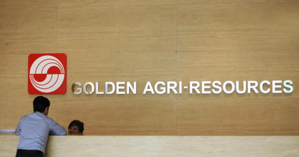 Golden Agri-Resources said it achieved record Q1 performance on the back of a 32 per cent year-on-year increase in revenue. 