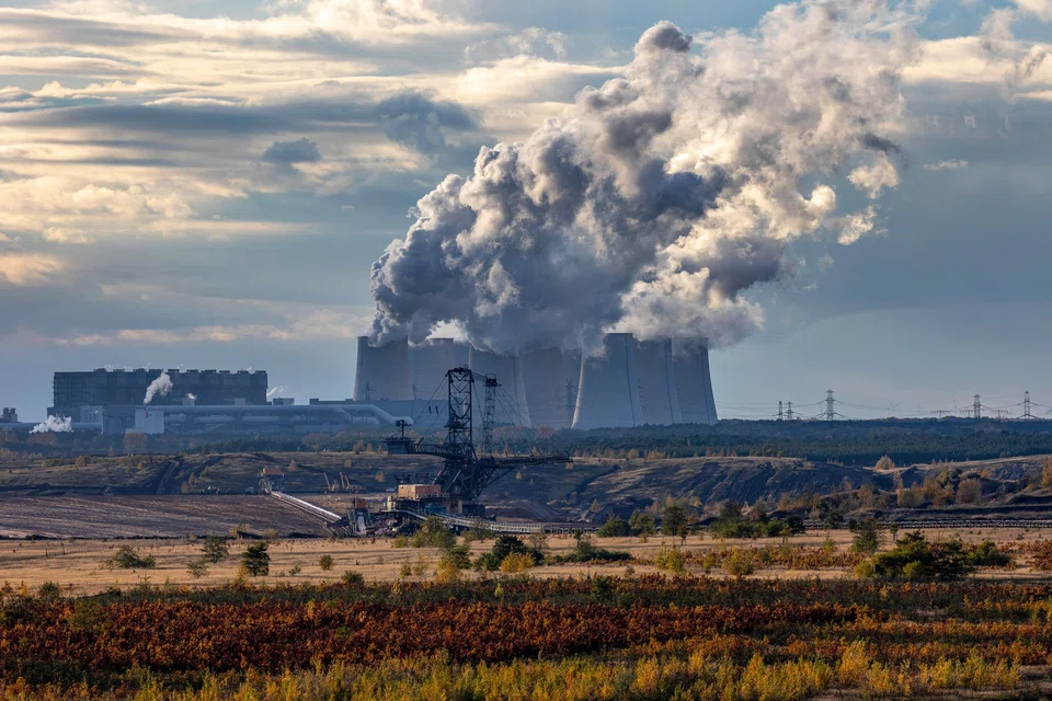 A key element of the deal is the EU allowing international carbon credits to account for a greater share of emissions reductions. 