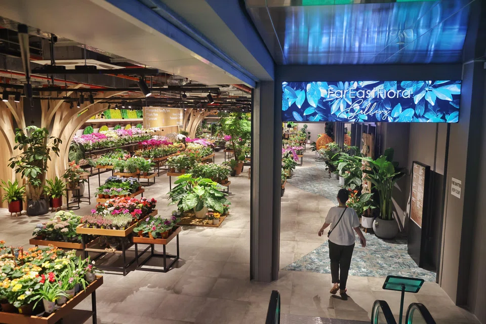 Far East Flora's assistant deputy group managing director Peter Cheok anticipates steady growth for the company despite current challenges, due to sustained consumer interest.