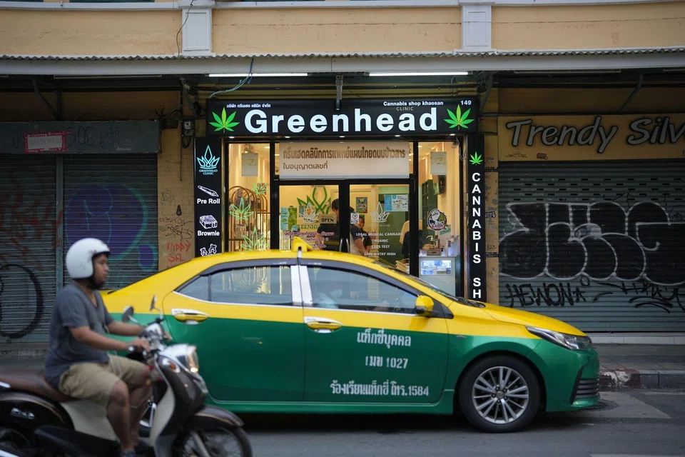 Thailand's cannabis industry is projected to be worth up to US$1.2 billion over the next few years, with thousands of businesses springing up since last year’s legalisation. 