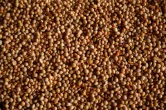 China is set to receive a mammoth amount of the oilseed from South America in the second quarter, easing a supply shortage and helping to further cool animal feed prices. 