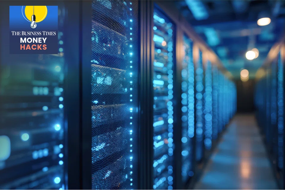 Direct data centre investment in the region experienced a record-breaking year in 2024.