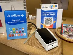 Ant International hopes to leverage its ecosystem to help MSMEs improve the accuracy of their sustainability reports.