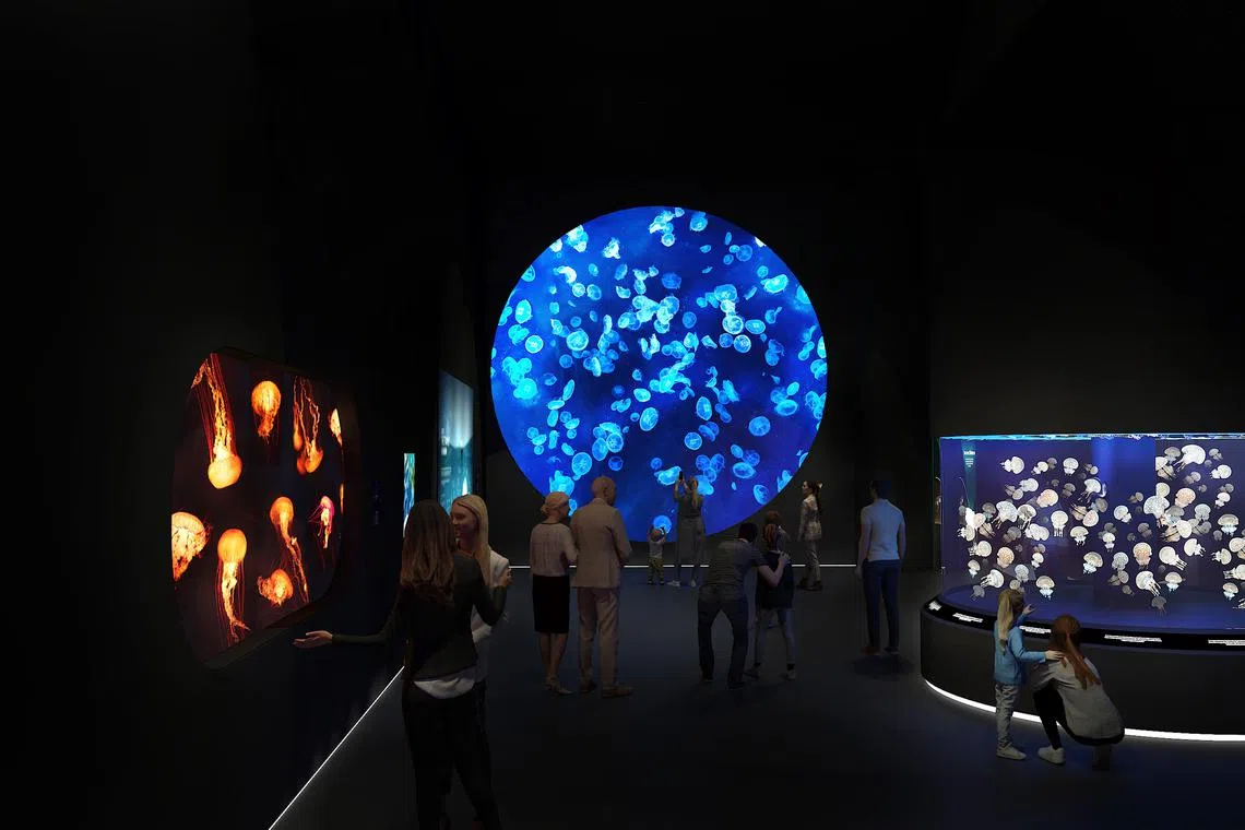 Previously known as the SEA Aquarium, Singapore Oceanarium will be three times larger and mark the transition into an aquarium-based conservation institution.