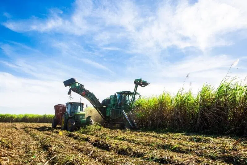 Established in 1969 under the Bien Hoa Sugar brand, AgriS manages a circular value chain ecosystem spanning nearly 91,000 ha of sugar cane and 30,000 ha of coconut plantations across Vietnam, Laos, Cambodia and Australia. 