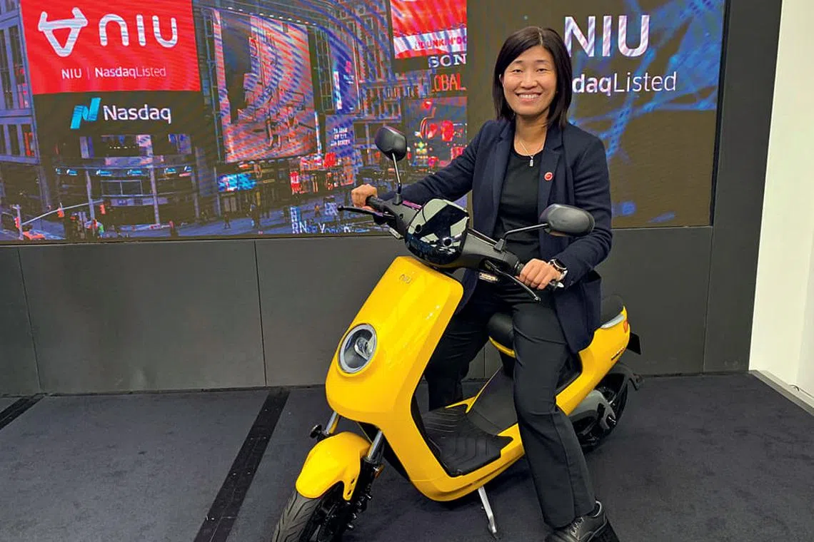 Pieces that form the big picture