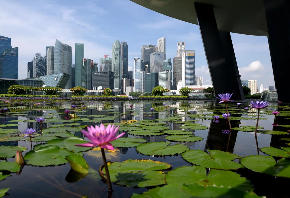 A group falls within the scope of section 10L if its  entities are not all incorporated, registered or established in Singapore; or if any entity of the group has a place of business outside Singapore. 
