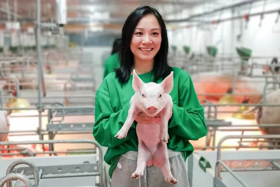 In 2021, Liu Chang visited a pig farm in Huanghua, Hebei.