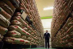 Renewed rise in food prices, particularly a 90 per cent spike in the price of rice, is pushing up not just headline but underlying inflation, which is typically influenced mostly by improvements in the economy and a tight job market, Kazuo Ueda said.