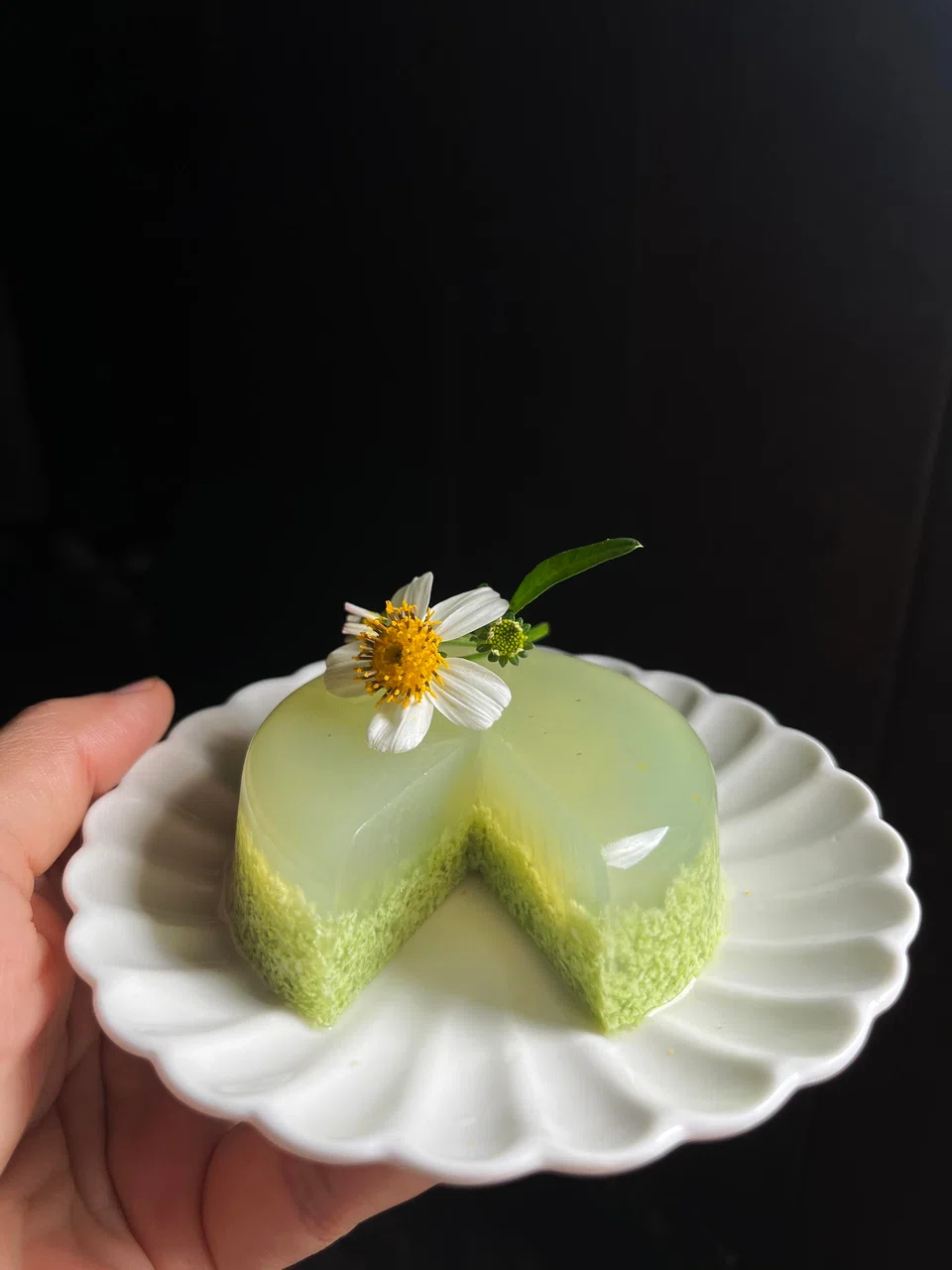 Agar-agar gudir pandan.