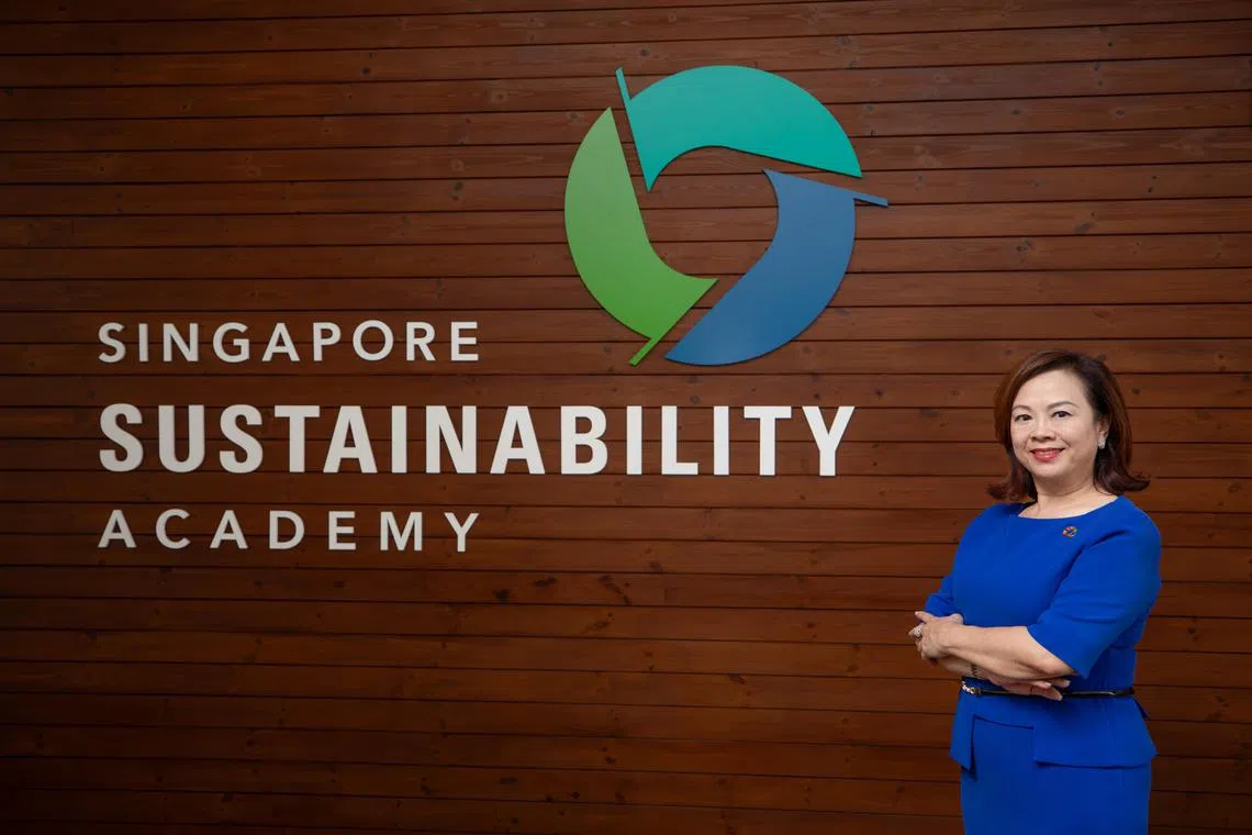 As CDL’s first chief sustainability officer, Esther An quickly championed an ethos that still guides the company’s business practices today: “conserving as we construct”. 