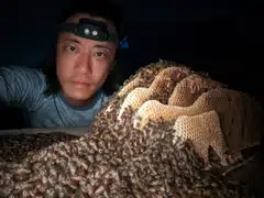 Clarence Chua is the founder of The Sundowner group and its not-for-profit arm The Sundowner Bee Rescue.